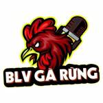 BLV GÀRỪNG Profile Picture