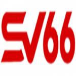Sv 66 Profile Picture