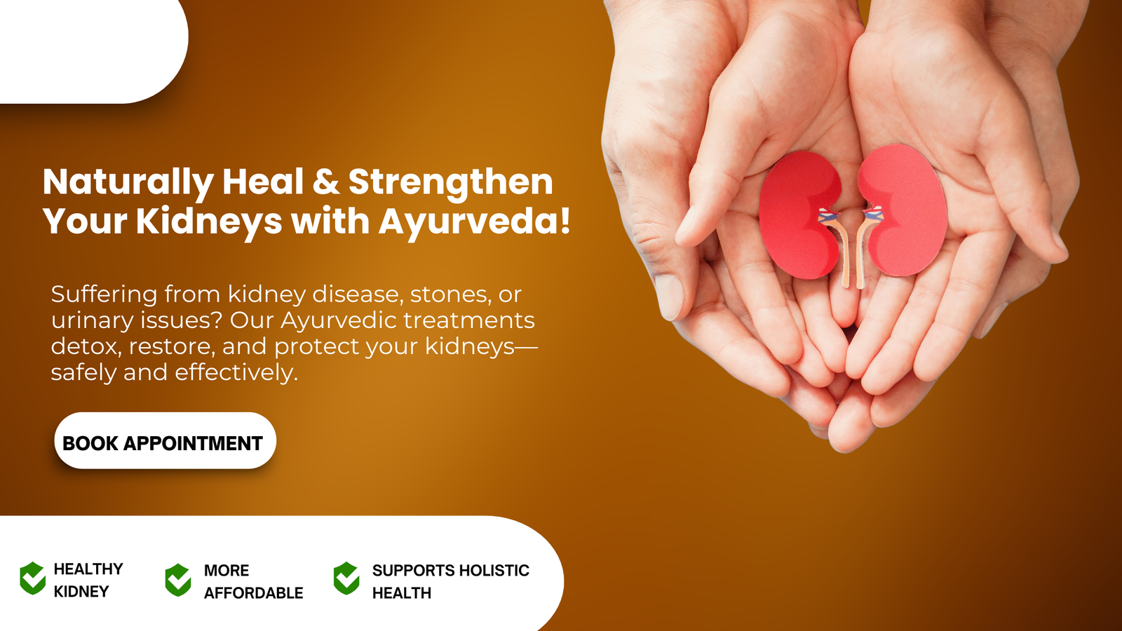 Kidney Treatment - Sambhav Clinic | Ayurvedic & Immunotherapy Treatment Center