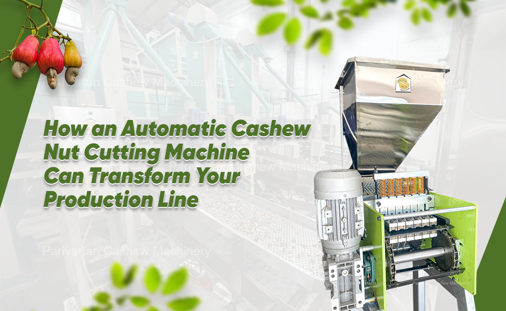 How an Automatic Cashew Nut Cutting Machine Can Transform Your Production Line