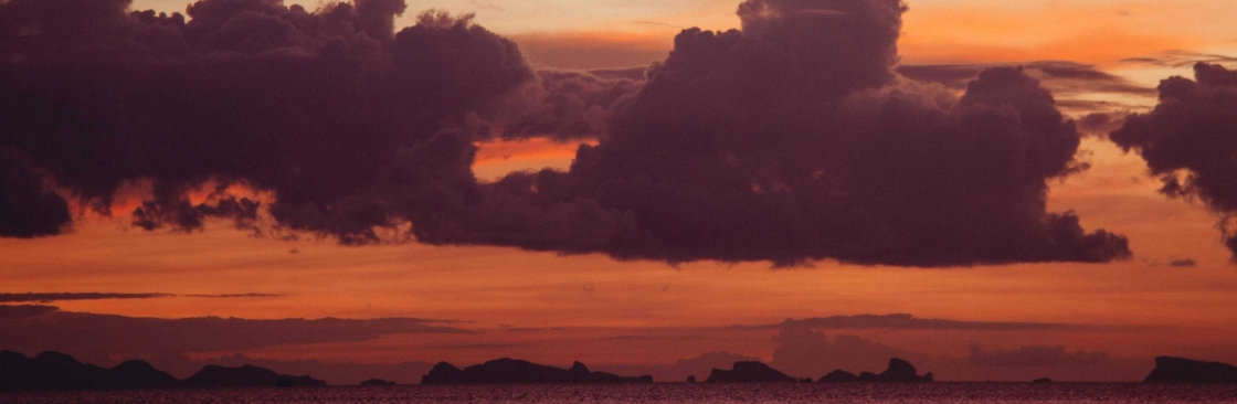 William Montgomery Cover Image