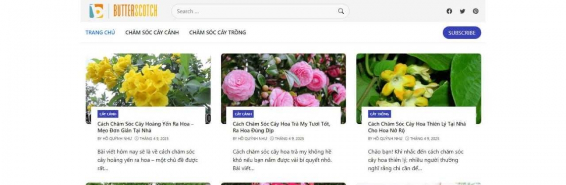 Butterscotch Blankees Deals Cover Image