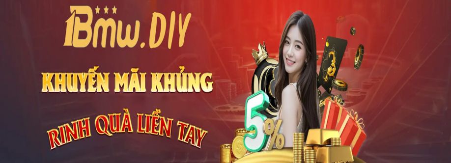 1bmw diy Cover Image