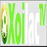 xoilactvnvncc die web Profile Picture