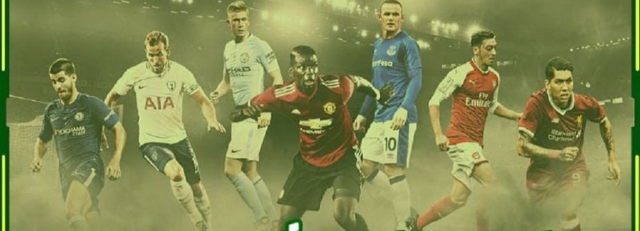 pavestep com giả mạo Cover Image