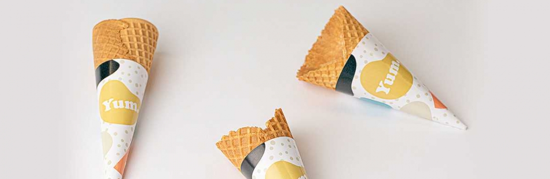 The Cone Sleeve Cover Image