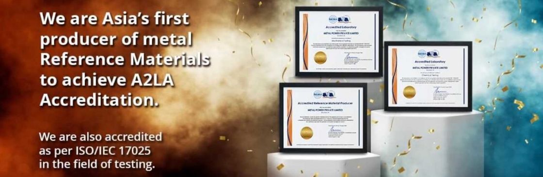 Metal Power Standards Cover Image