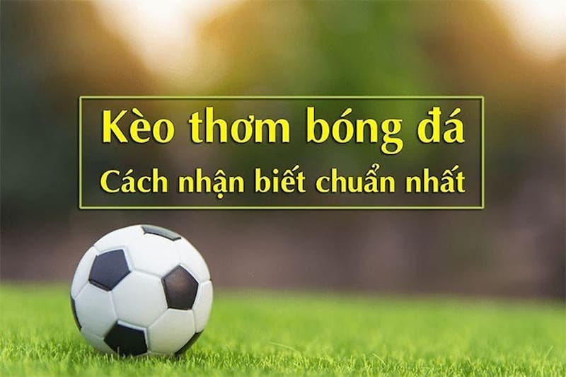 Tỷ lệ ăn quá cao: Khi nào là kèo thơm, khi nào là bẫy?