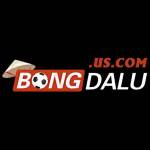 bongdalu us Profile Picture