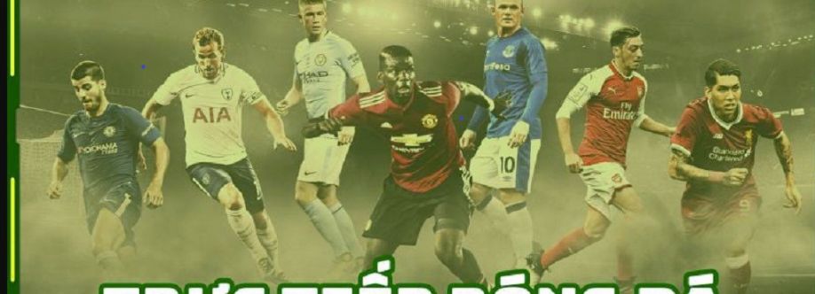 pavestep com die web Cover Image