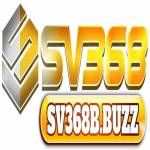 Sv368 Profile Picture