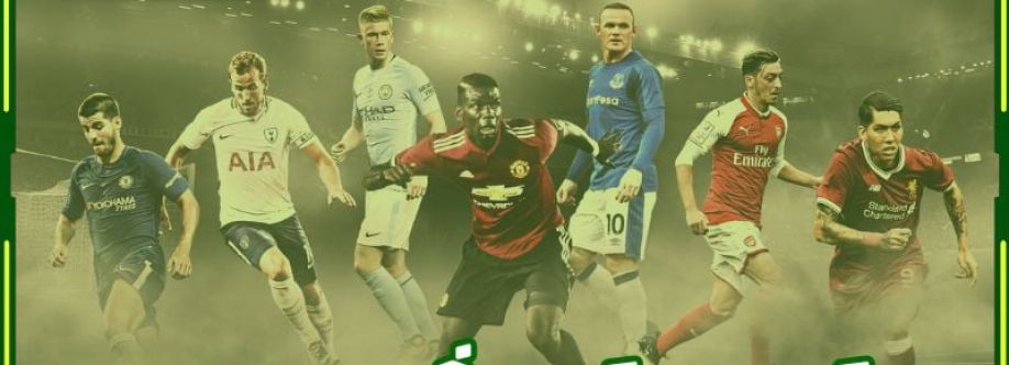 pavestepcom scam Cover Image