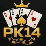 PK14 Profile Picture