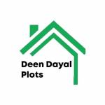deen Daya plot Profile Picture