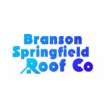 Branson Springfield Roof Co Profile Picture