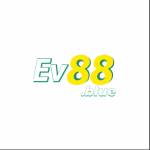 ev88 blue Profile Picture