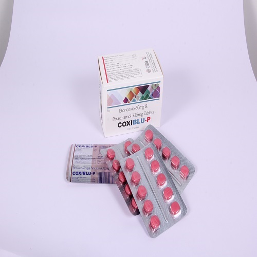 Etoricoxib Paracetamol Tablets Manufacturer Company in India
