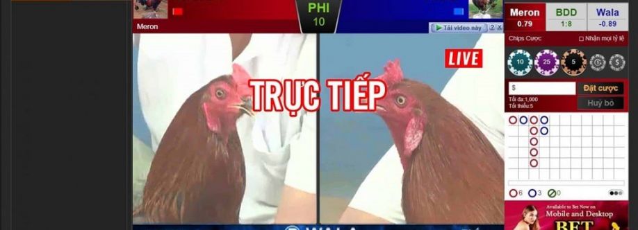 Đá Gà 88 Cover Image