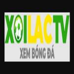 Fondazionesabattini it lua dao Profile Picture