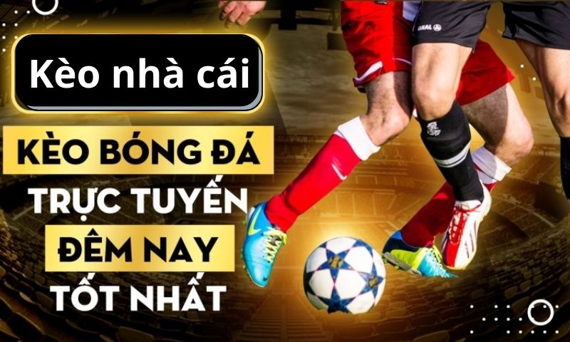 Tỷ lệ kèo nhà cái trực tuyến biến động - Cẩn thận bẫy cược!
