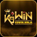 K9win Ninja Profile Picture