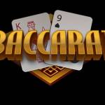 zhenrenbaijiale org Profile Picture