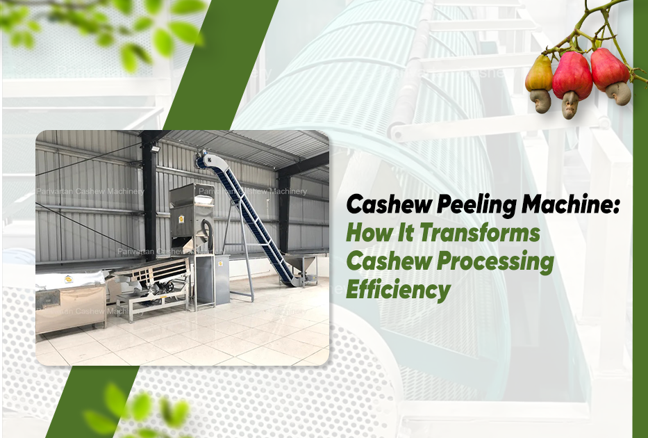 Cashew Peeling Machine: How It Transforms Cashew Processing Efficiency