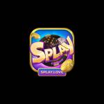 Cổng Game Splay Profile Picture