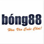BONG88 Profile Picture