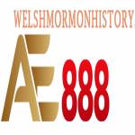 AE888 welsh Profile Picture