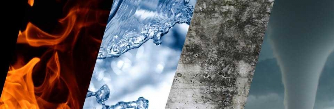 Southern Elite Restoration Cover Image