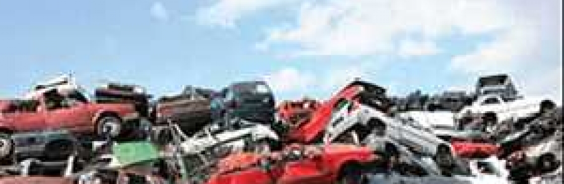 Mr Cash For Cars Cover Image