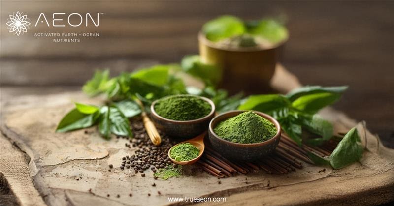 8 Powerful Greens Powders Infused with Mushrooms and Fulvic Acid for Daily Resilience