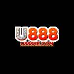 U 888 Profile Picture