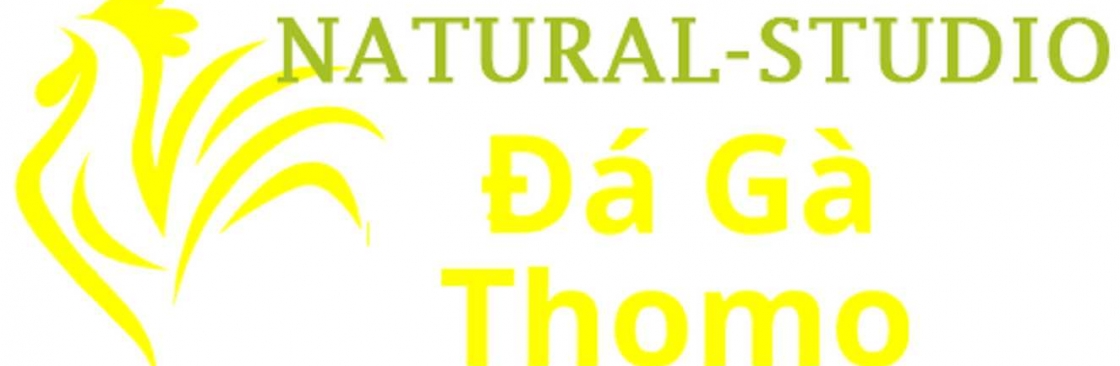 Đá Gà Trực Tiếp Thomo Cover Image