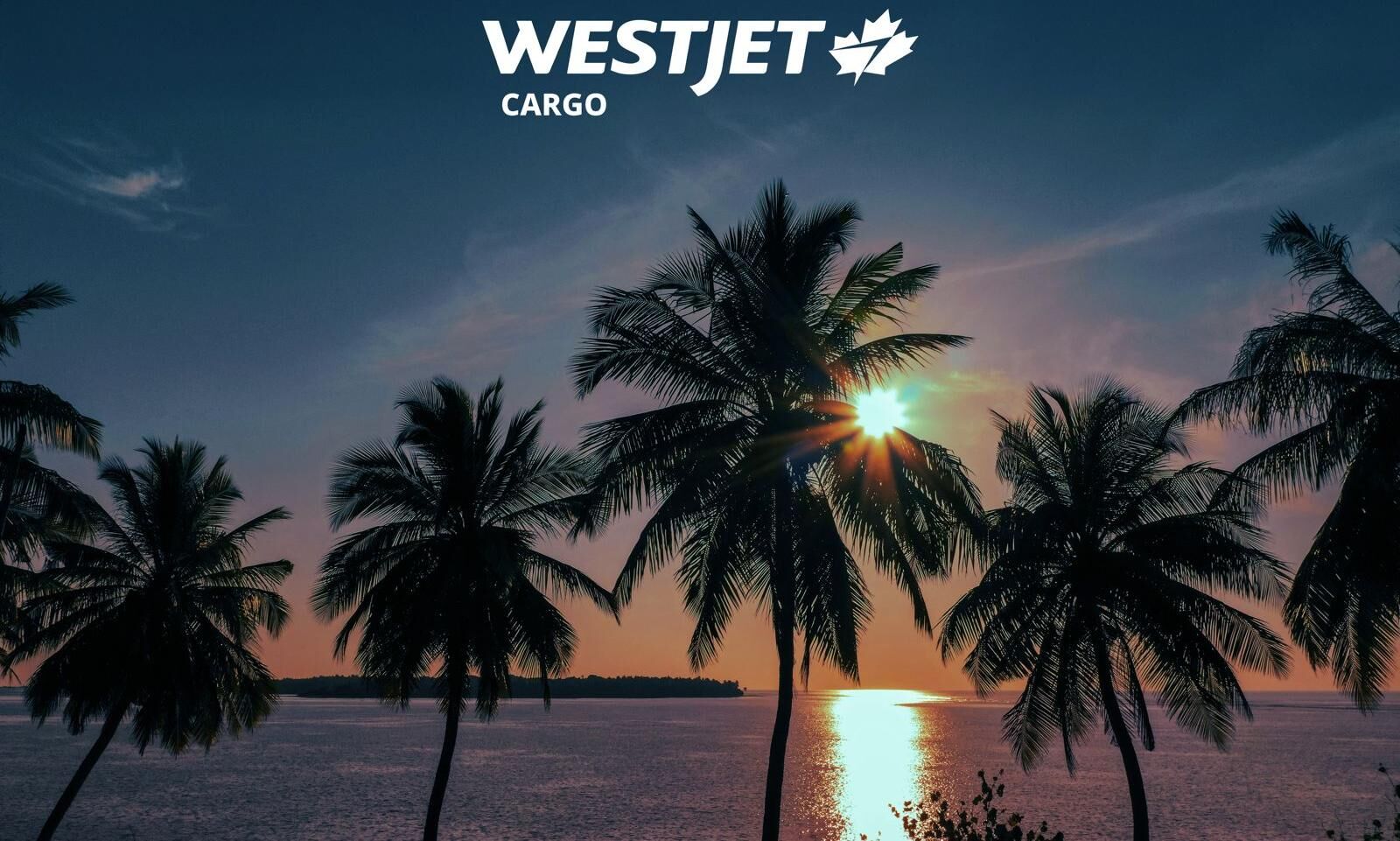 WestJet Cargo adds new cargo routes to the Caribbean