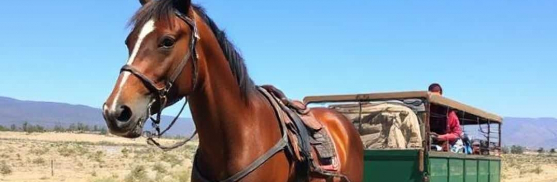 Rocking Y Ranch Cover Image