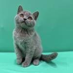 bofme55 Profile Picture