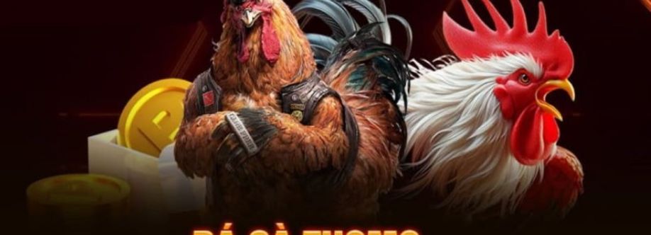 Đá gà Thomo trực tiếp Cover Image