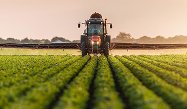 Agriculture Tax Accountant in Santa Maria | CPA Experts Santa Maria | Agricultural Taxation Expert in Oxnard | Steve Pybrum