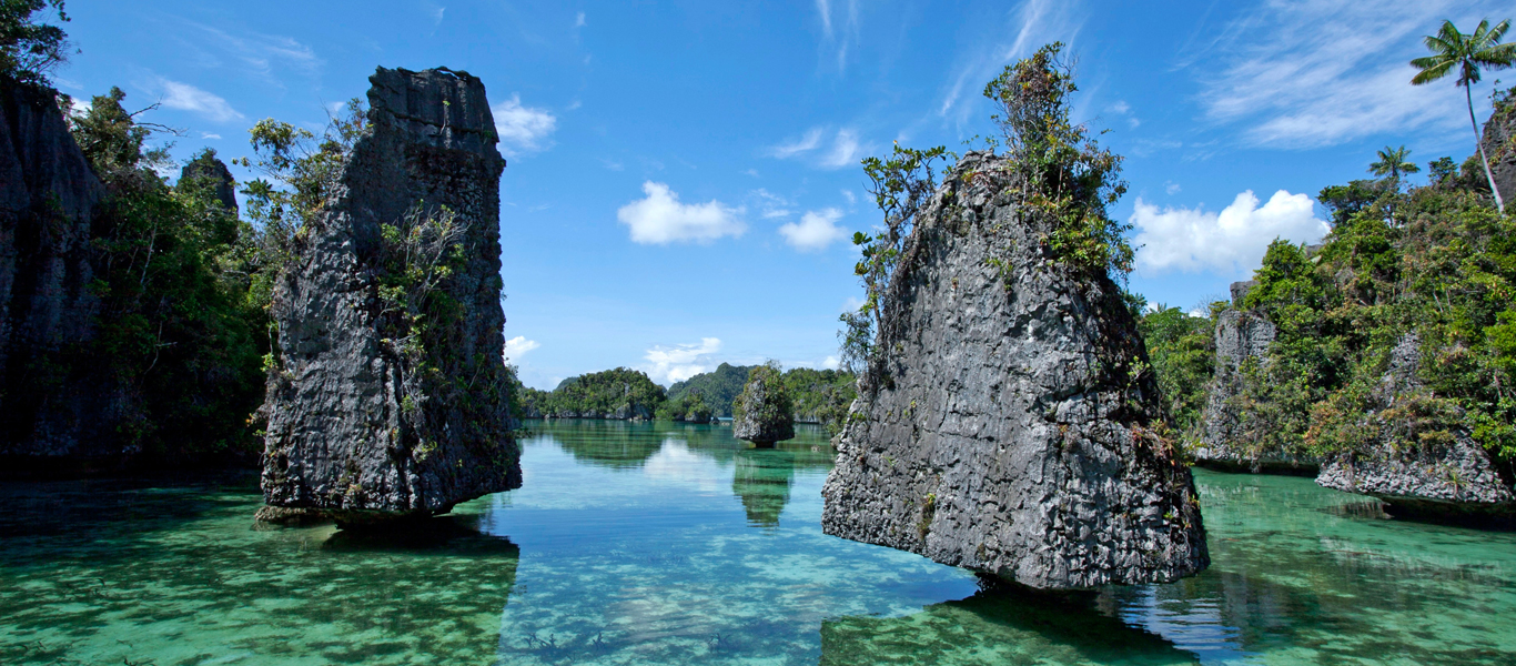 Miami to Bogotá Flights | Cheap Airline Tickets – AvigoFly