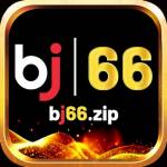 bj66zip Profile Picture