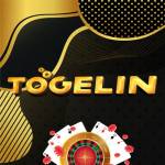 TO GELIN Profile Picture