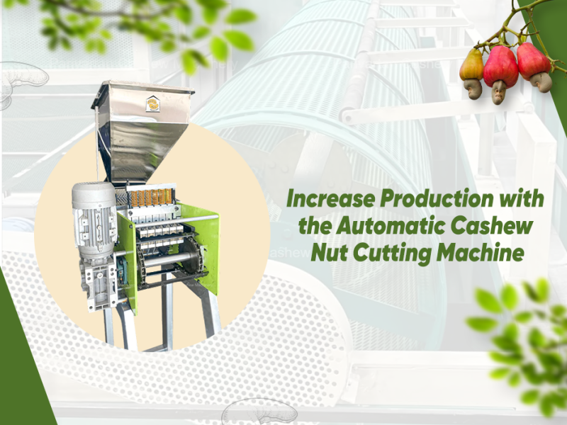 Increase Production with the Automatic Cashew Nut Cutting Machine