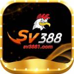 SV388 Profile Picture