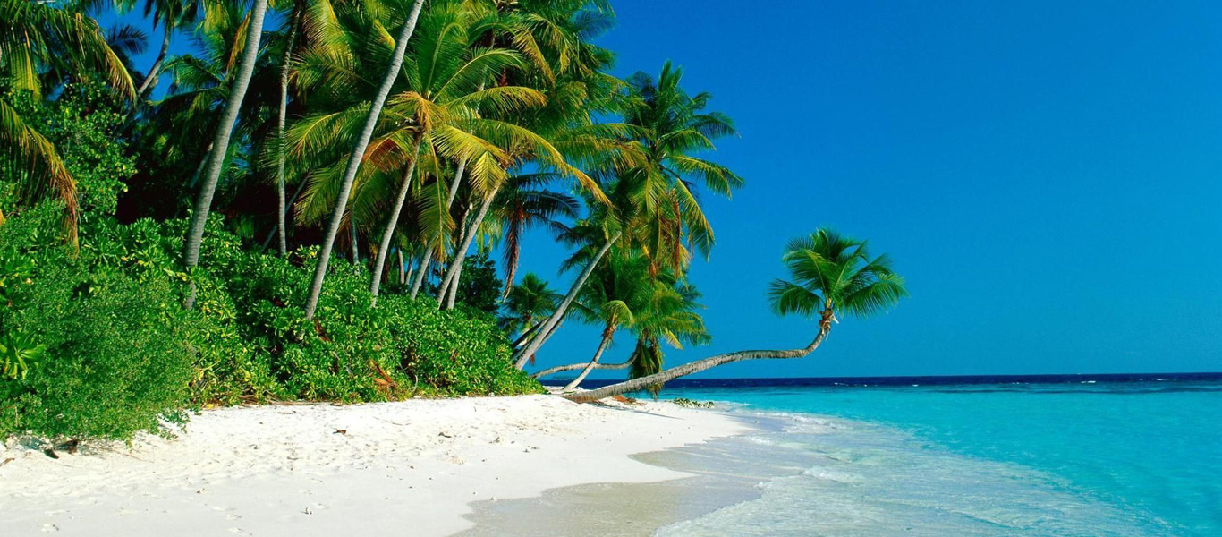 Phoenix to Los Angeles Flights | Cheap Airline Tickets – AvigoFly