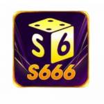 S666 Profile Picture