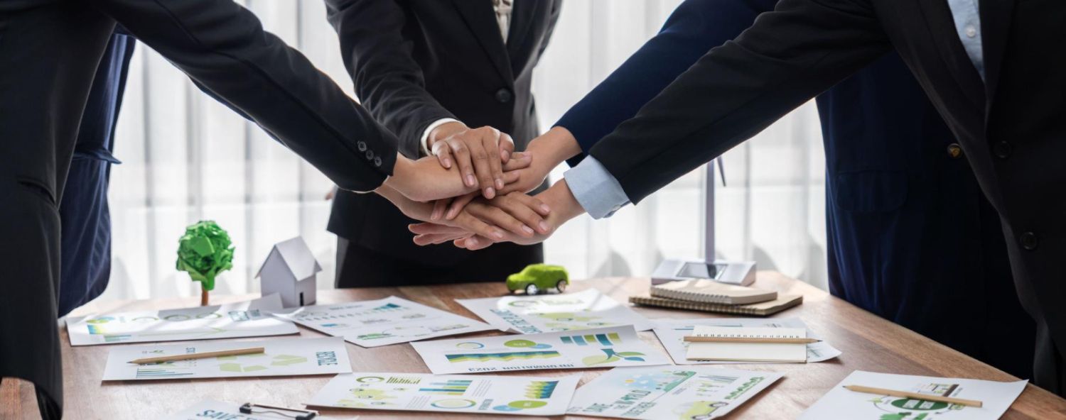 Holding Management - RAS Corporate Advisors