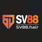 SV88 Profile Picture