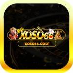 Xoso66 golf Profile Picture